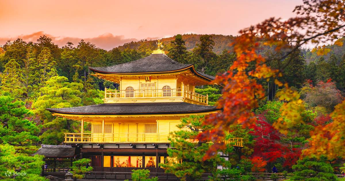京都 金閣寺、清水寺、宇治平等院 日帰りツアー（大阪・京都発
